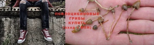 марихуана Дмитров