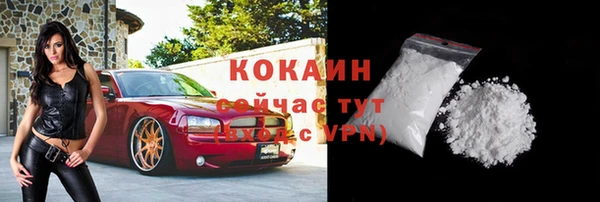 индика Заволжск