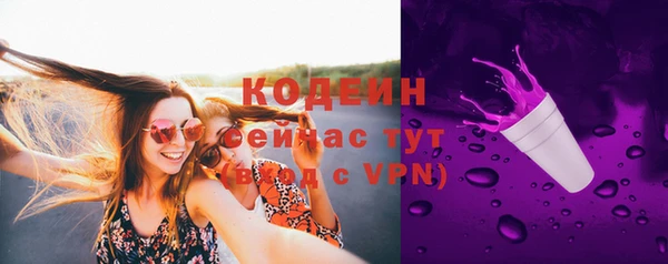 винт Дмитриев