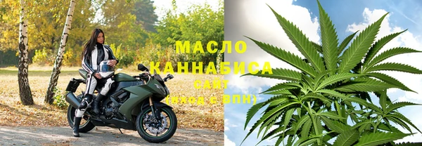 индика Заволжск