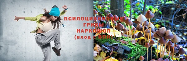 винт Дмитриев