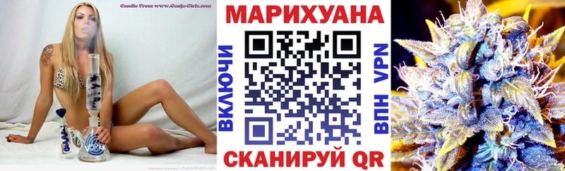 МАРИХУАНА сатива Юхнов